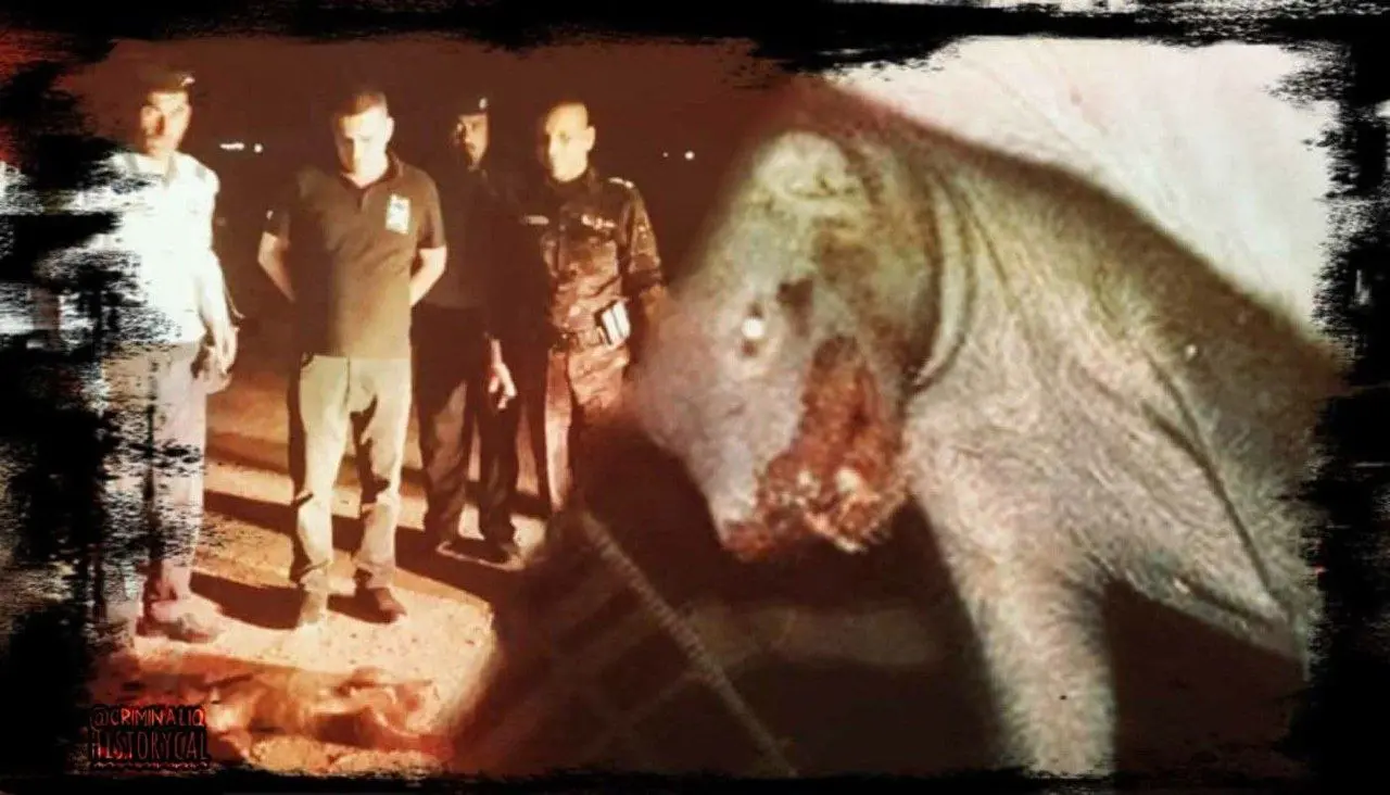 Шийба — зверь страшнее террориста.